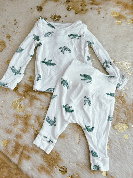 Newborn Turtle Set